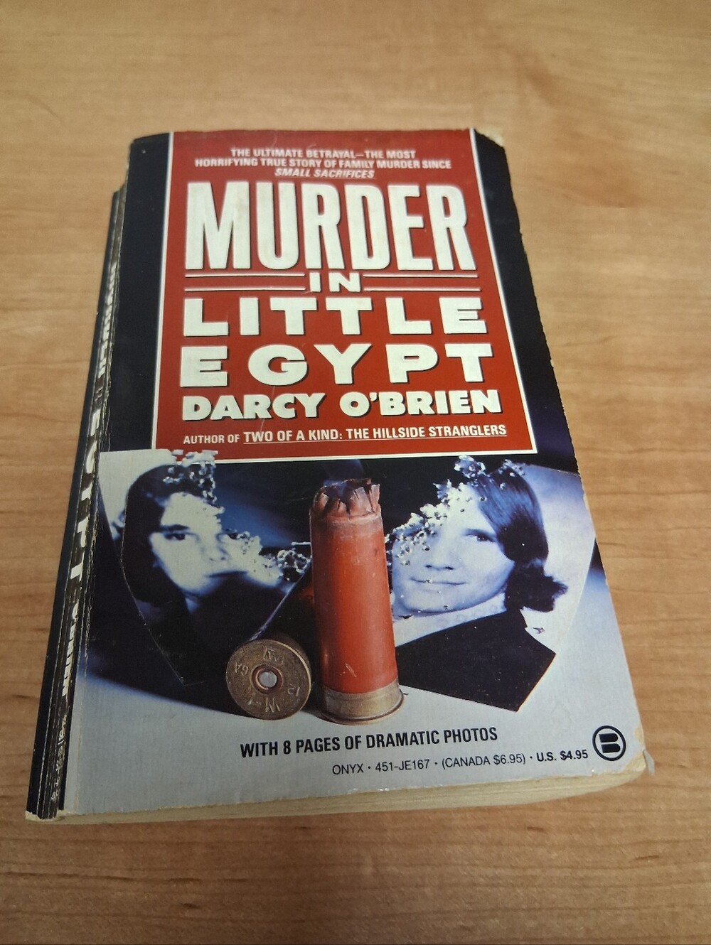 Murder 8n Little Egypt by Darcy O'Brien True Crime